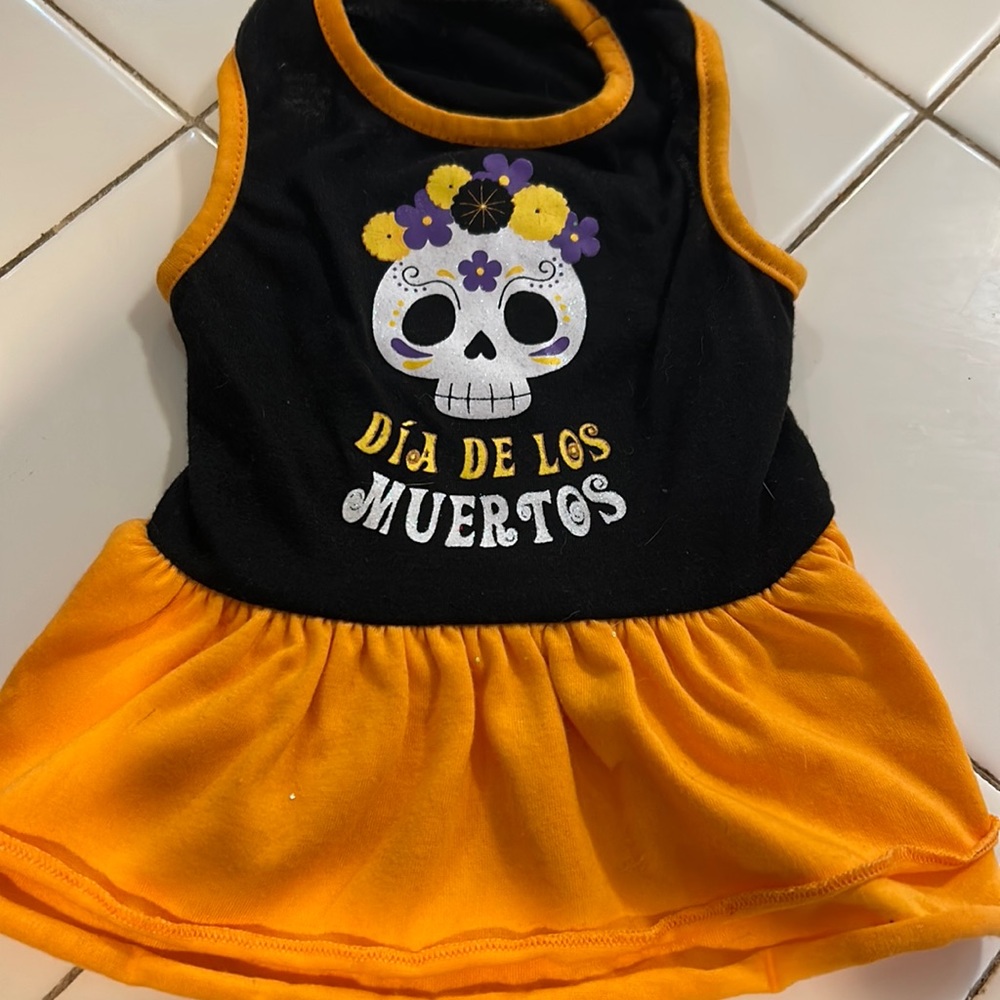 Day if the dead doggy dress